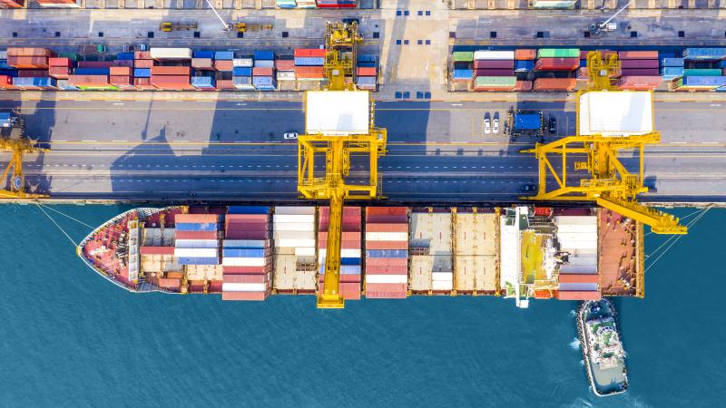 Cargo Container Ship Docked in Port